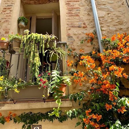 Maison Historique Rue Vermeille Argeles Sur Mer Kültér fotó