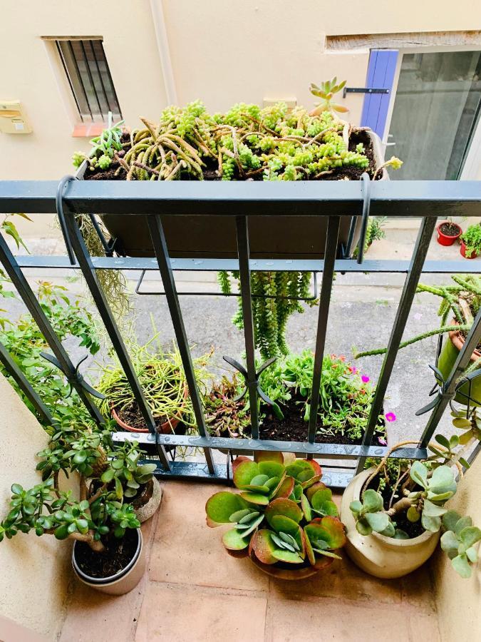 Maison Historique Rue Vermeille Argeles Sur Mer Kültér fotó