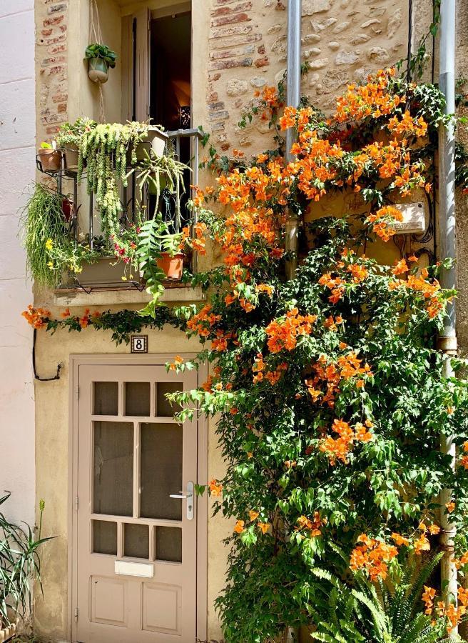 Maison Historique Rue Vermeille Argeles Sur Mer Kültér fotó