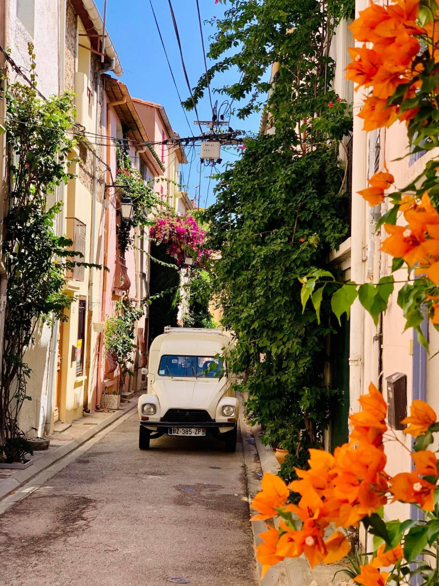 Maison Historique Rue Vermeille Argeles Sur Mer Kültér fotó